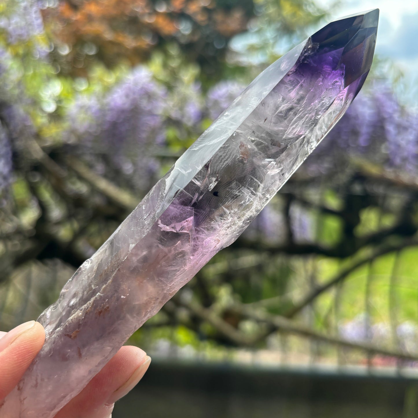 Stunning Brazilian Amethyst Half Polished Root 175g - Aether & Element