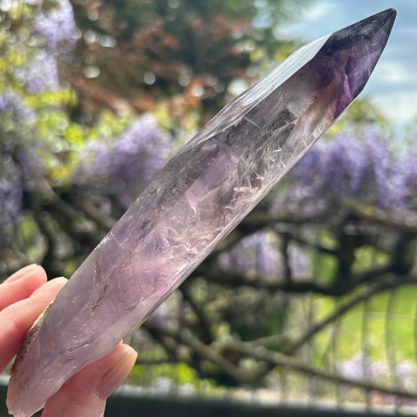 Stunning Brazilian Amethyst Half Polished Root 292g - Aether & Element