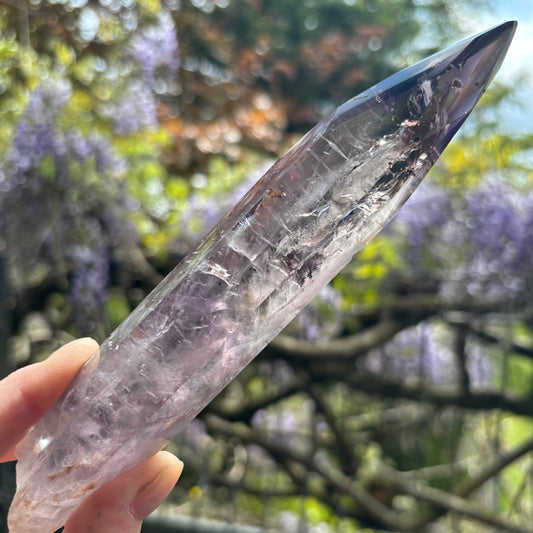 Brazilian Amethyst with Amethyst with Ametrine Zoning Half Polished Root 223g