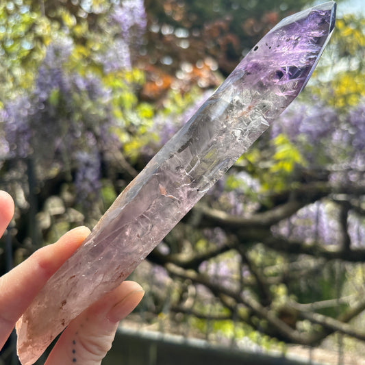 Stunning Brazilian Amethyst Half Polished Root 216g
