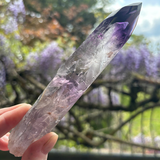 Stunning Brazilian Amethyst Half Polished Root 175g