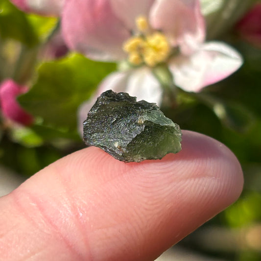Natural Moldavite | 0.70g - Aether & Element