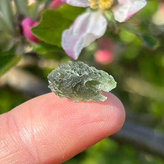 Natural Moldavite | 1.05g - Aether & Element