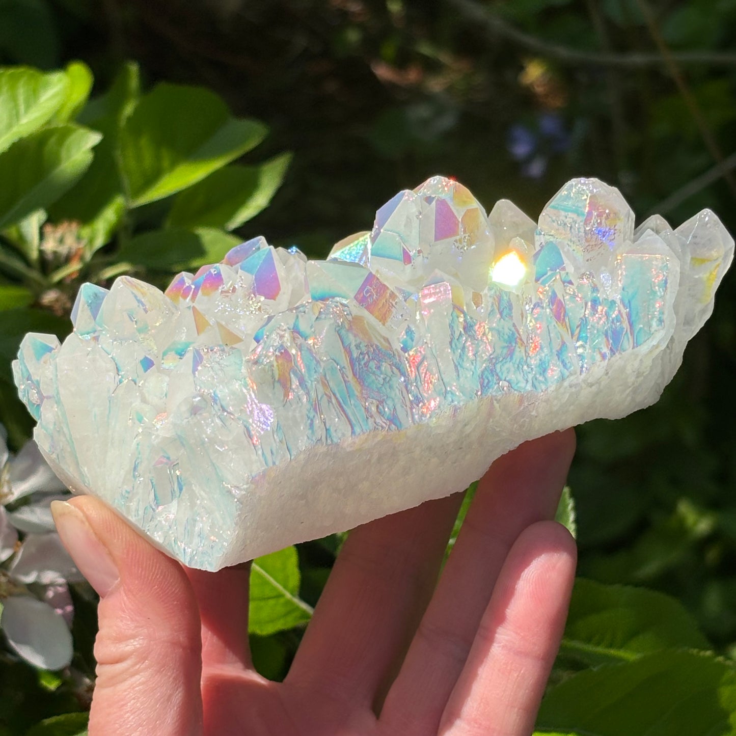 Angel Aura Quartz Cluster | A - Aether & Element