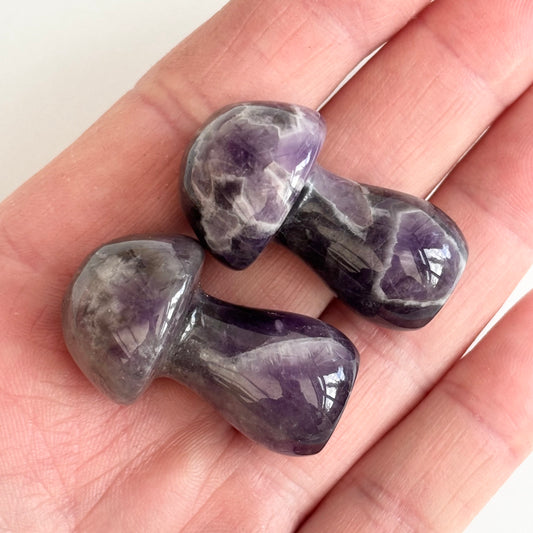 Dream Amethyst Mushroom - Aether & Element