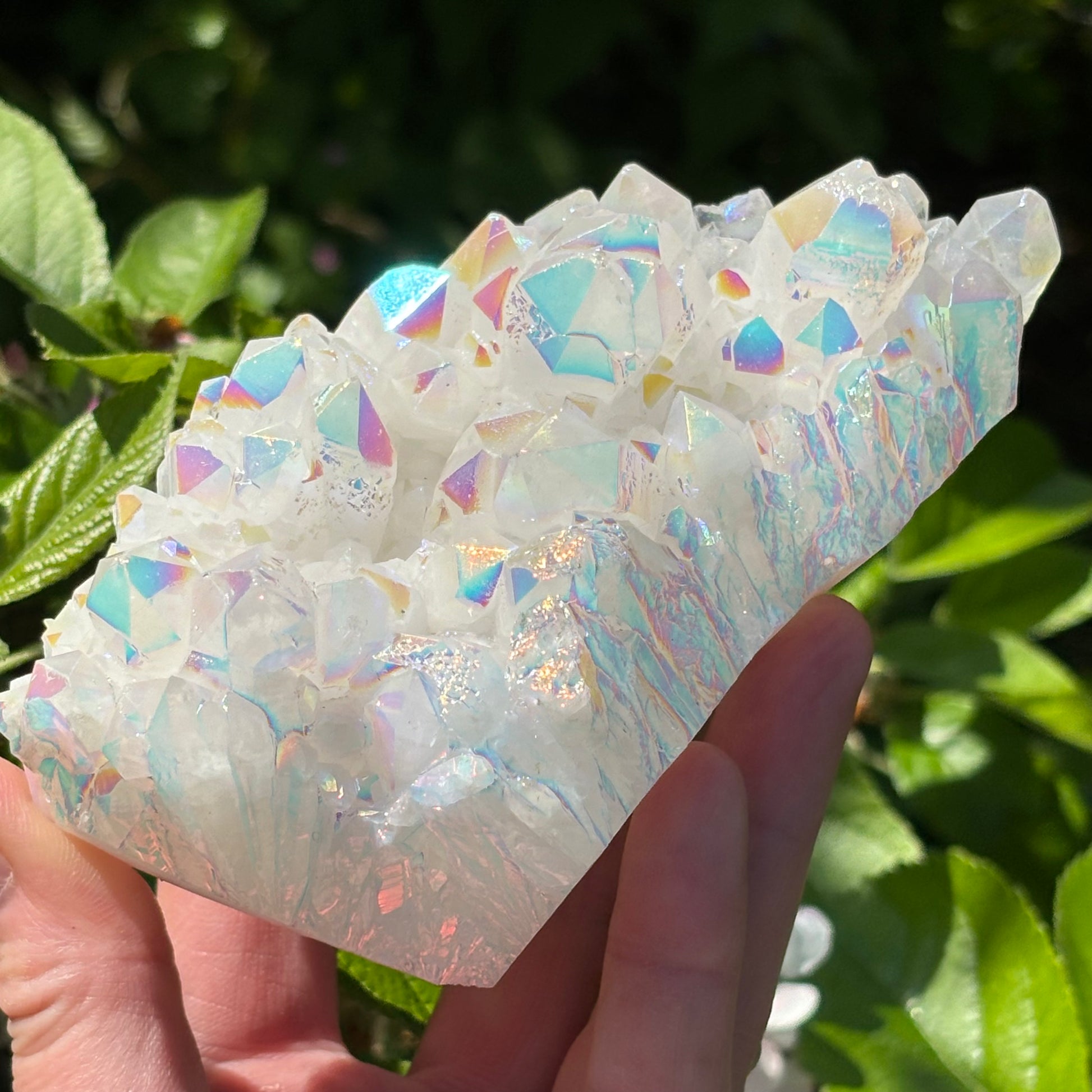 Angel Aura Quartz Cluster | A - Aether & Element