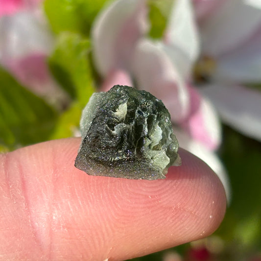 Natural Moldavite | 1.62g - Aether & Element