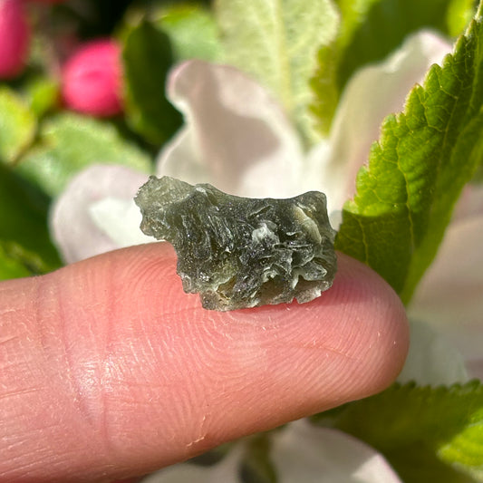 Natural Moldavite | 0.91g - Aether & Element