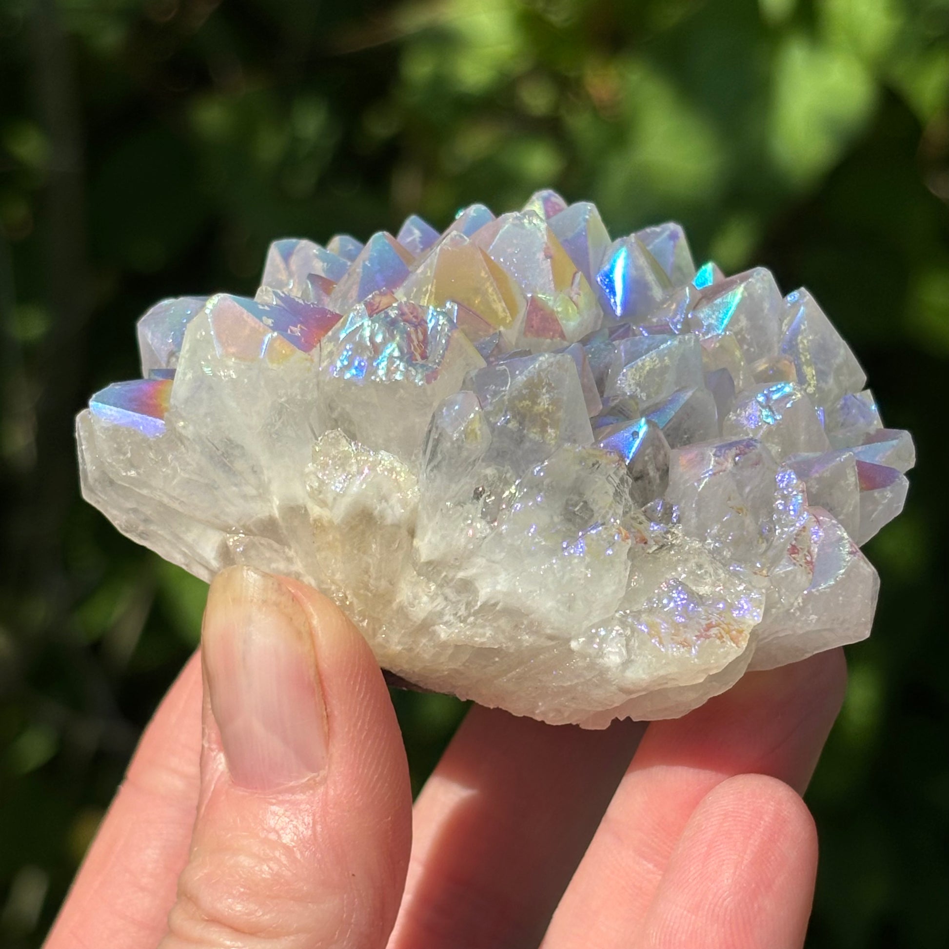 Angel Aura Quartz Cluster | B - Aether & Element