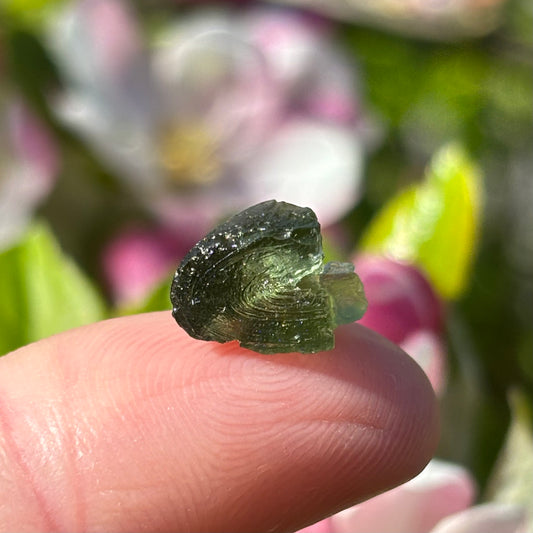 Natural Moldavite | 0.71g - Aether & Element