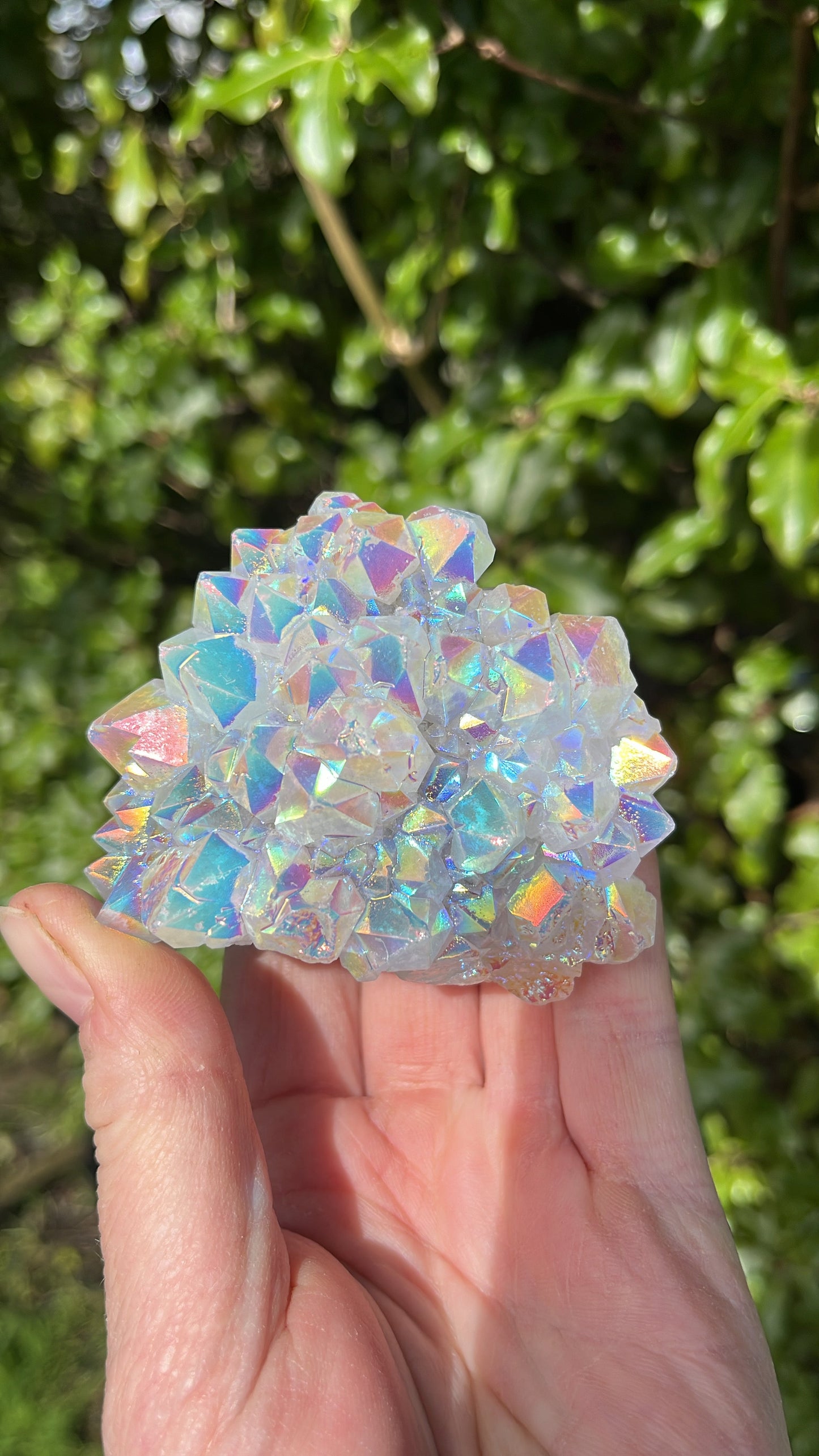 Angel Aura Quartz Cluster | B - Aether & Element