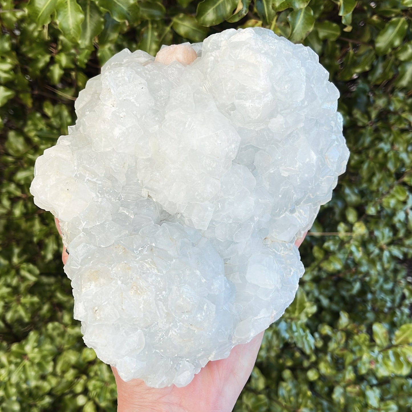Apophyllite with Peach Stilbite - Aether & Element