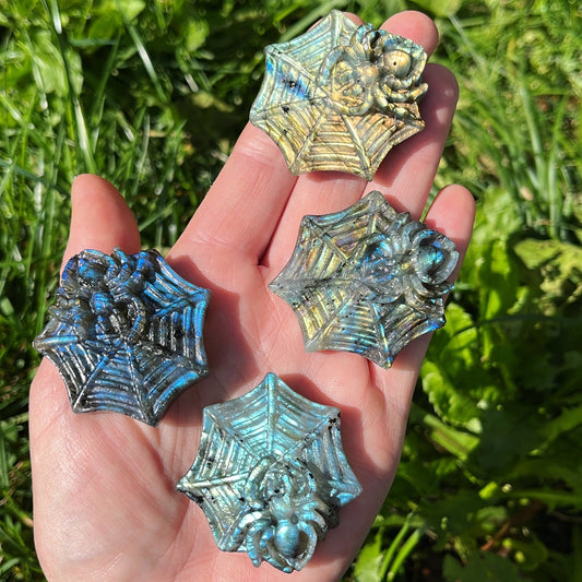 Halloween Labradorite Spider on Web - Aether & Element