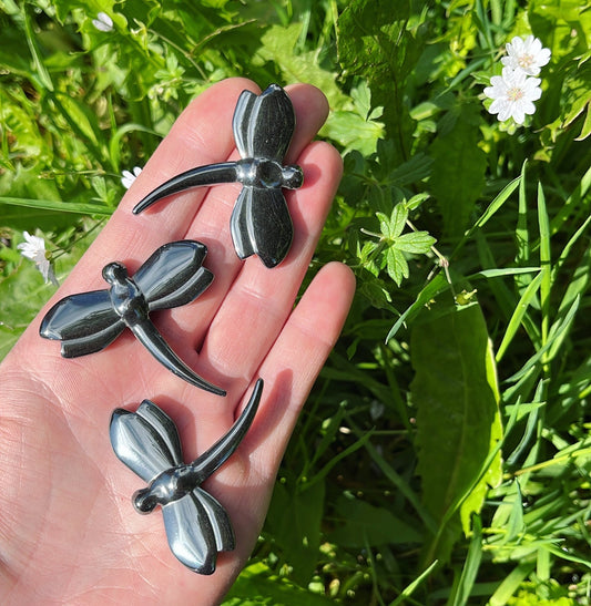 Hematite Dragonfly - Aether & Element