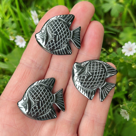 Hematite Fish - Aether & Element