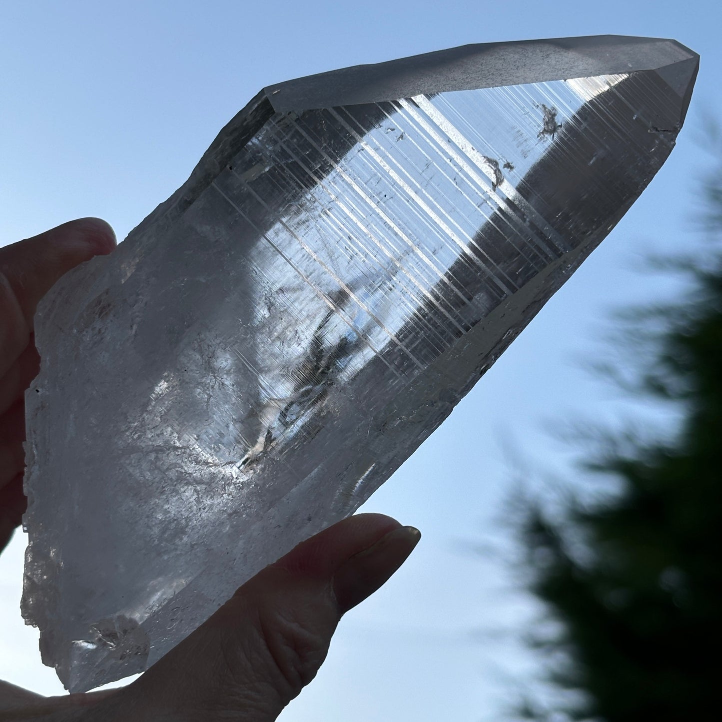Lemurian Quartz Raw Crystal from Brazil 605g - Aether & Element