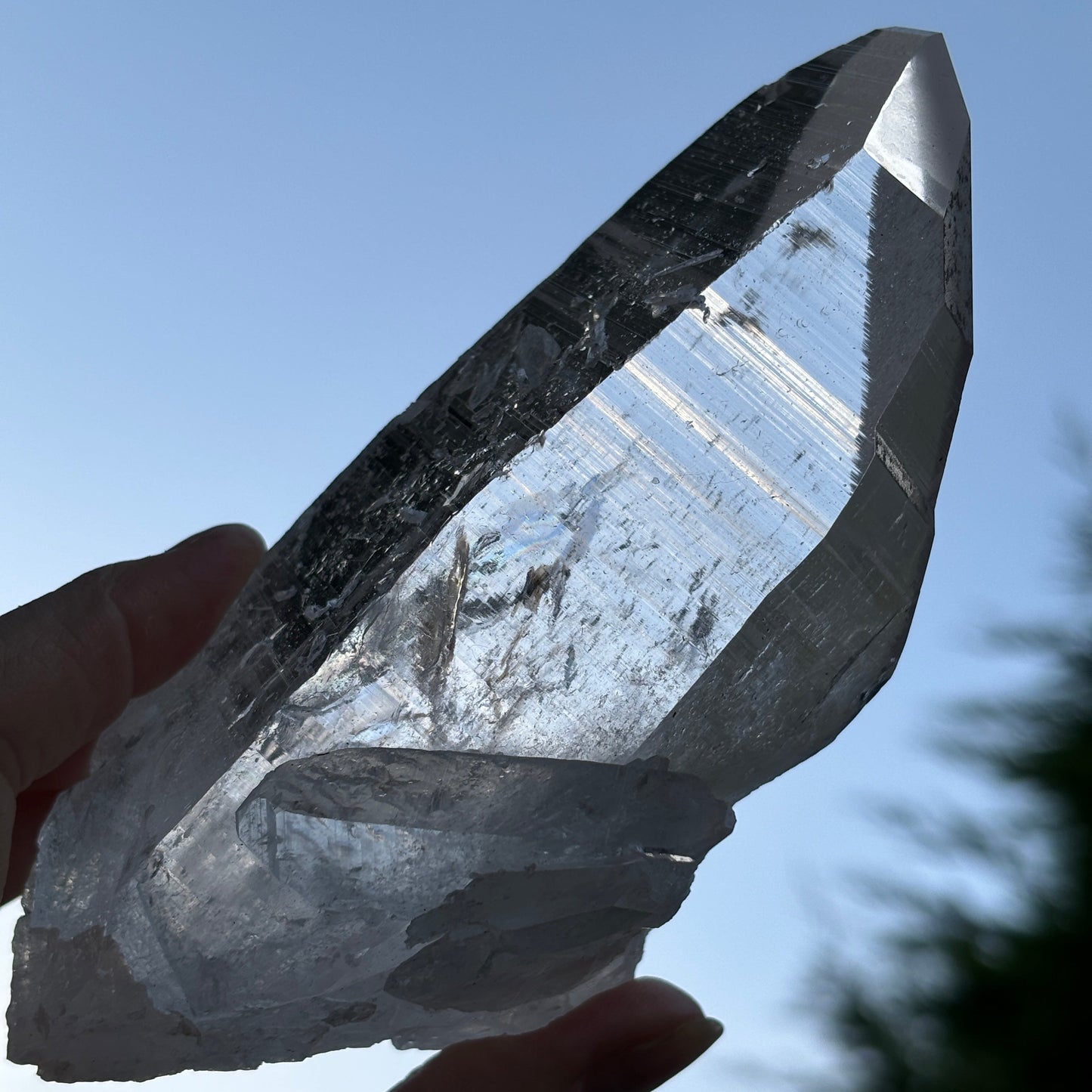 Lemurian Quartz Raw Crystal from Brazil 605g - Aether & Element