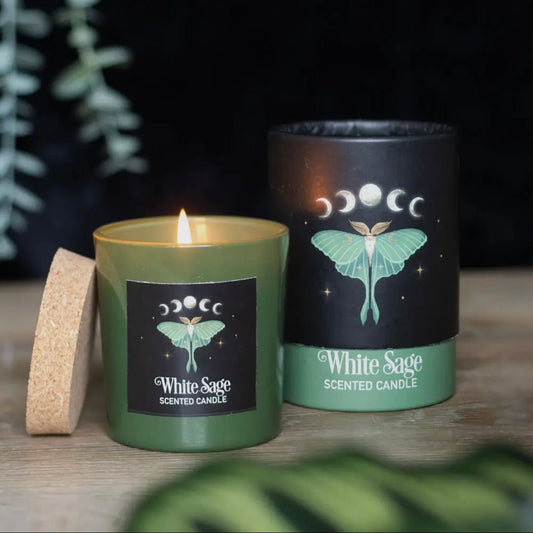 Luna Moth Moon Phase Candle - Aether & Element