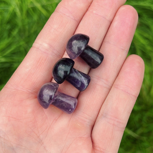 Mini Amethyst Mushroom - Aether & Element