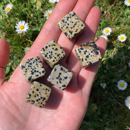 Mini Dalmatian Jasper Cube - Aether & Element