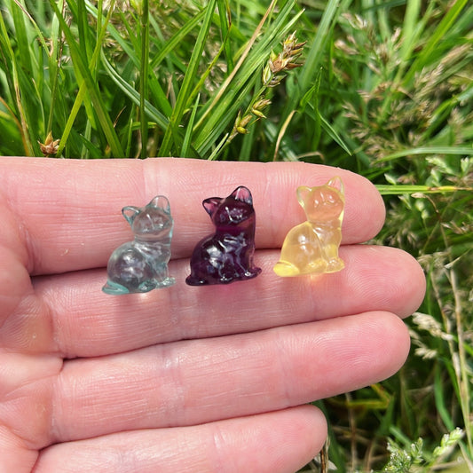 Mini Fluorite Sitting Cat - Aether & Element