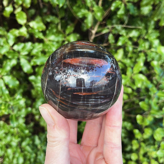 Petrified Wood Sphere | B - Aether & Element