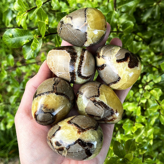 Septarian Egg - Aether & Element