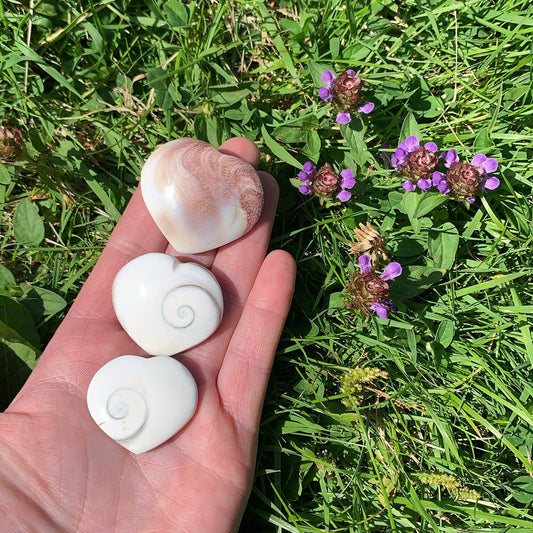 Shiva Eye Shell Heart - Aether & Element