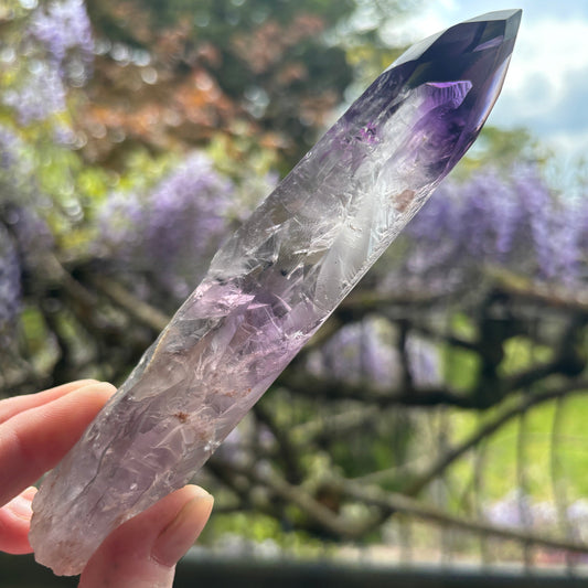 Stunning Brazilian Amethyst Half Polished Root 175g - Aether & Element