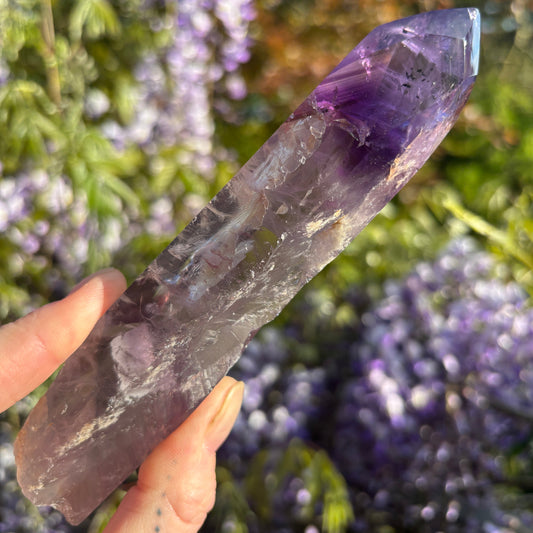 Stunning Brazilian Amethyst Half Polished Root 203g - Aether & Element