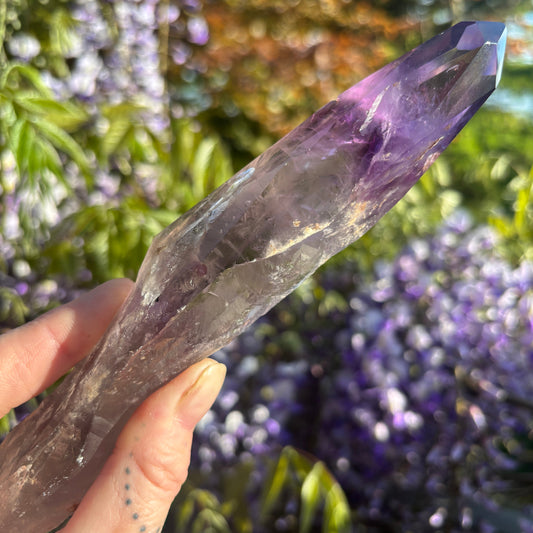Stunning Brazilian Amethyst Half Polished Root 224g - Aether & Element