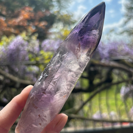 Stunning Brazilian Amethyst Half Polished Root 231g - Aether & Element