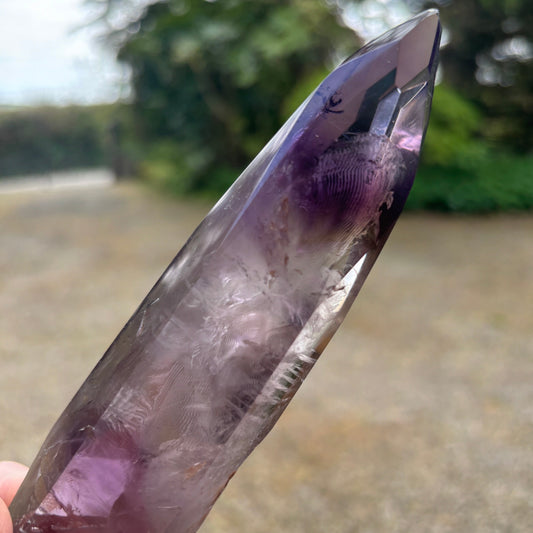 Stunning Brazilian Amethyst Half Polished Root 6 - Aether & Element