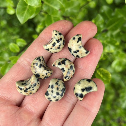 Tiny Dalmatian Jasper Moon - Aether & Element