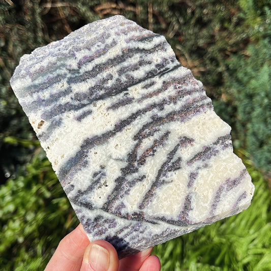 Zebra Jasper Slab | A - Aether & Element